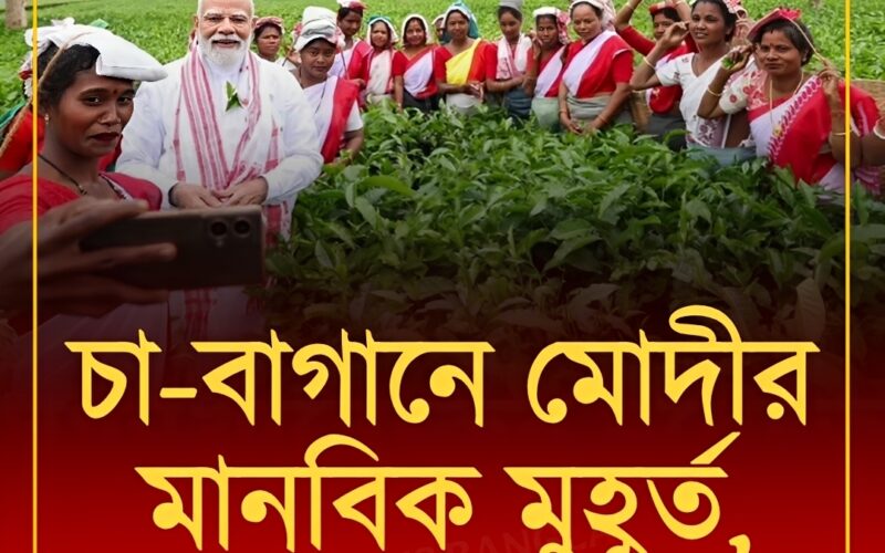 Prime Minister Narendra Modi spotted right inside a tea garden! In a relaxed mood, he even took a selfie.