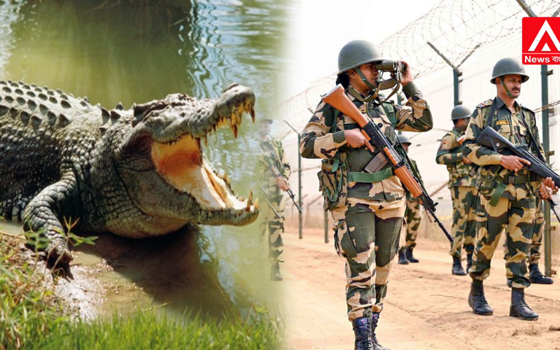 Amidst the barbed-wire controversy, the Centre issues a stern message regarding border security.