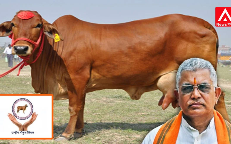 The Modi government's Gokul Mission scheme is now set to launch in Bengal!