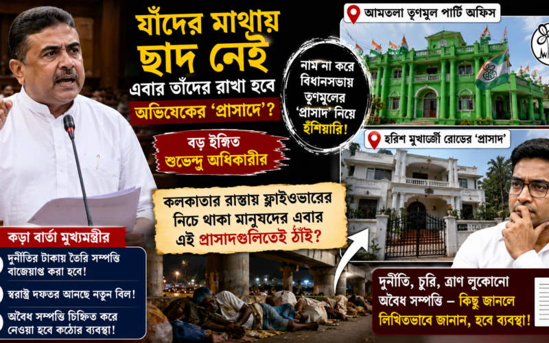 Those without a roof over their heads will now be housed in Abhishek's palace.