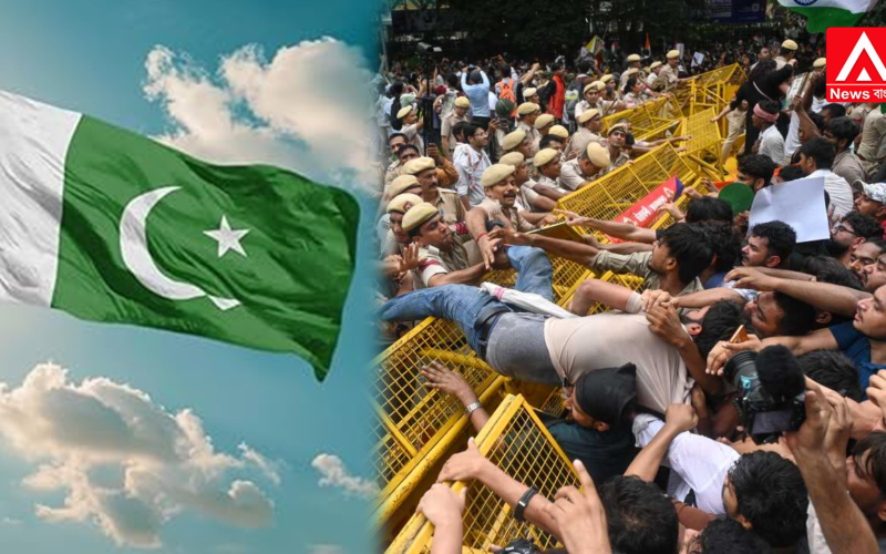 Is there a Pakistani link behind the Delhi protests? Is incitement being spread on social media from Pakistan?