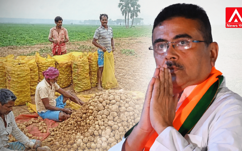 Potato farmers now see a new direction thanks to a masterstroke by the BJP government.