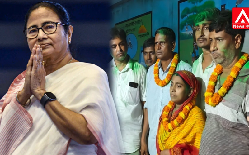 comeback mamata